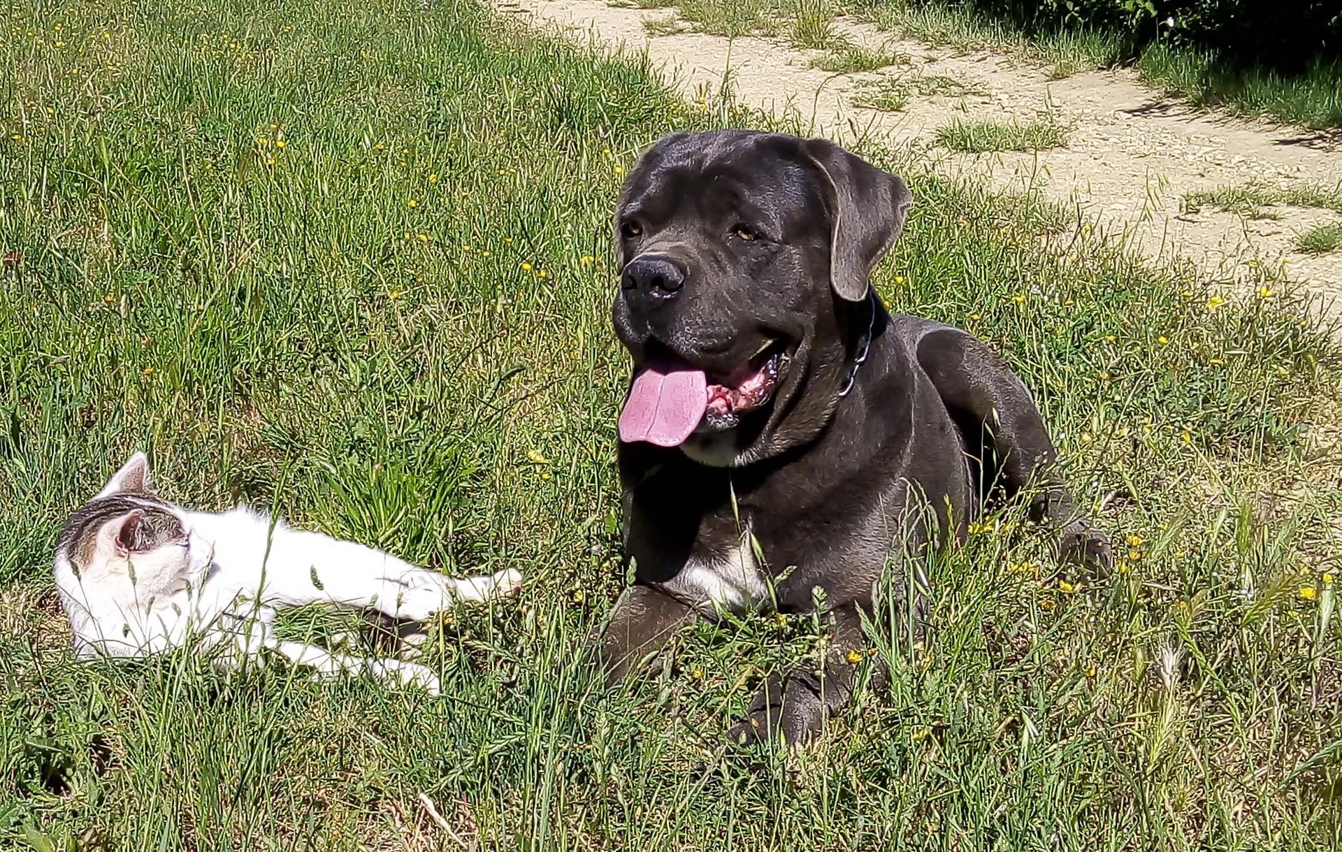 Img 20190527 102103 2